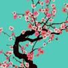 nabeelahmad818